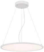 Westinghouse 65775 - Lampadario LED dimmerabile a filo ATLER LED/40W/230V 60 cm