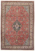Sarouk Tappeto 250x360 (Iran) Annodato A Mano