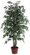 Pianta artificiale in vaso di plastica, ficus H 125 cm, Ø 17 cm