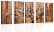 Quadri 5 pezzi – Albero su sfondo di legno
