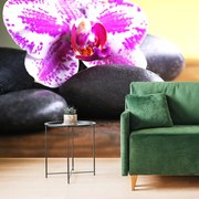Fotomurale – Orchidea e pietre nere