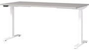 Tavolo da lavoro con altezza regolabile elettricamente 80x160 cm Jet - Germania