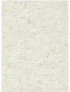 Clarke & Clarke Carta da parati Impression - Stone