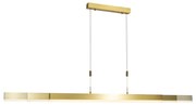 Moderne hanglamp goud 150 cm incl LED - Lamba