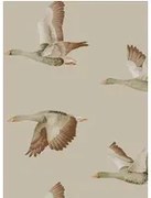 Sanderson Carta da parati Elysian Geese - Briarwood