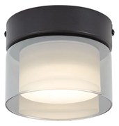 Plafoniera moderna nera con vetro fumé - Puck