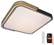 Rabalux 71146 - Plafoniera LED dimmerabile ARILD LED/48W/230V Wi-Fi Tuya