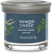 Candela Bayside Cedar in barattolo medio Yankee Candle