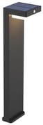 Lampada solare LED con sensore MALI LED/4,5W/3,7V 2000 mAh IP44 nero