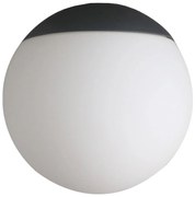 FARO 3L022 - Lampada per ventilatore KLIM 1xE27/15W/230V nero