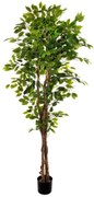 Pianta artificiale senza vaso Ficus in pvc colore multicolore H 120