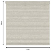 Tessuto per tende a rullo filtrante INSPIRE Darwin beige 132 x 250 cm