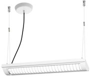 Ledvance - Lampada LED dimmerabile a sospensione OFFICE LINE 2xLED/12,5W/230V