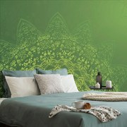 Carta da parati – Elementi moderni di Mandala in verde