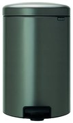 Pattumiera New Icon BRABANTIA a pedale grigio platino 20 L