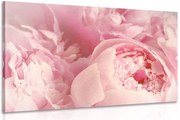 Stampa su tela – Petali di fiore