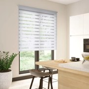 Tenda a rullo giorno / notte INSPIRE Line bianco 150x250 cm