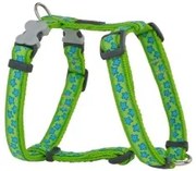 Imbracatura per Cani Red Dingo Style Stella Verde 25-39 cm