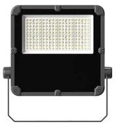 Riflettore LED PROFI PLUS LED/100W/230V 5000K