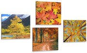 Set di quadri – Natura autunnale in colori splendidi