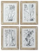 Quadro DKD Home Decor Moderno Piante botaniche 30 x 2 x 40 cm (4 Unità)