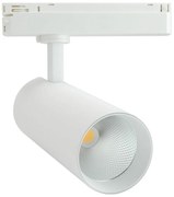 Faro LED 30W Monofase 38°/60° 130lm/W CRI92 no Flickering Colore Bianco Naturale 4.000K