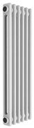 Radiatore acqua calda Comby in acciaio 2 colonne, 6 elementi, interasse 535 mm, bianco