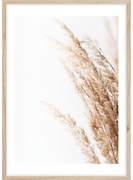 Dipinto 50x70 cm Beige II – Styler