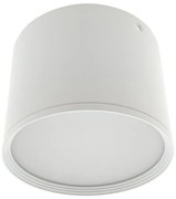 Faretto LED/10W/230V 3000/4000/6400K Ø 12 cm bianco