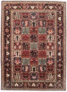 Bakhtiar Tappeto persiano 250x330 (Iran) Annodato A Mano