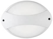 Applique Fascia Contemporanea Coconut Alluminio Bianco 1 Luce Led 7W 4000K