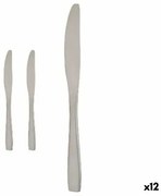 Set di Coltelli 55,5 x 2 x 0,5 cm Argentato Acciaio inossidabile (12 Unità)