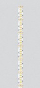 240 LED | 19,2 W/m | 24 V | IP20 |