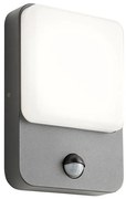 Redo 90134 - LED lampada da parete per esterni COLIN LED/9W/230V 4000K IP54 antracite