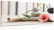 Stampa su tela – Natura morta meditativa e benessere