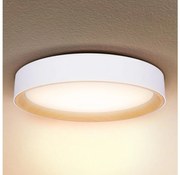 Brilagi -Luce LED dimmerabile LARIOS LED/60W/230V 3000-6500K ø 49 cm white+RC