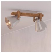 Eglo 43949 - Faretto CAWTON 2xE27/40W/230V