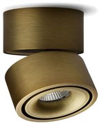 Antidark - Easy W100 Spot Brushed Brass Antidark