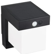 Illuminazione esterna LED con alimentazione a pannelli solari con sensore di movimento da parete (altezza totale 14 cm) Colombo – Trio