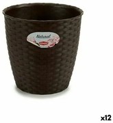 Vaso Stefanplast Plastica Cioccolato 19 x 17,5 x 19 cm (12 Unità)