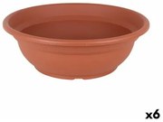 Vaso Dem Greentime Rotonda Ciotola Marrone ø 50 x 6,8 cm (6 Unità)