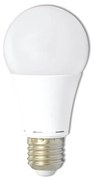 Ecolite LED15W-A60/E27/2700 - Lampadina LED A60 E27 15W 230V 2700K