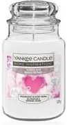 Bubble Time, candela in giara grande Yankee Candle