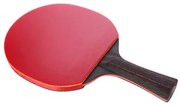 Racchetta da ping pong Atipick RQP40403