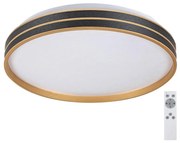 Rabalux 71141 - Plafoniera LED dimmerabile GANDOR LED/24W/230V 3000-6500K