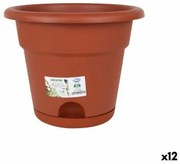 Vaso con Piatto Dem Greentime Marrone 25 x 25 x 20 cm (12 Unità)