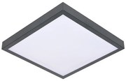 Plafoniera LED con sensore VITALI LED/24W/230V 4000K