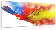 Stampa su tela – Volo di pappagallo