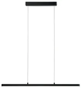 Lento LED Lampada a Sospensione Dim. Nero - Paulmann