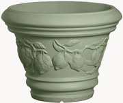 Portavaso Limoni